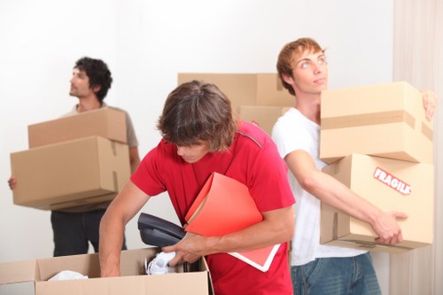 Professional van moving support in the Millbank area of London